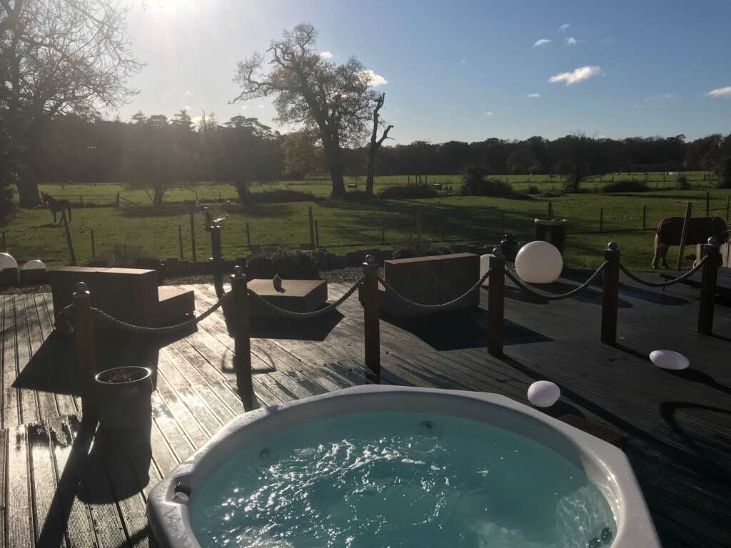 New Park Manor Hotel, New Forest