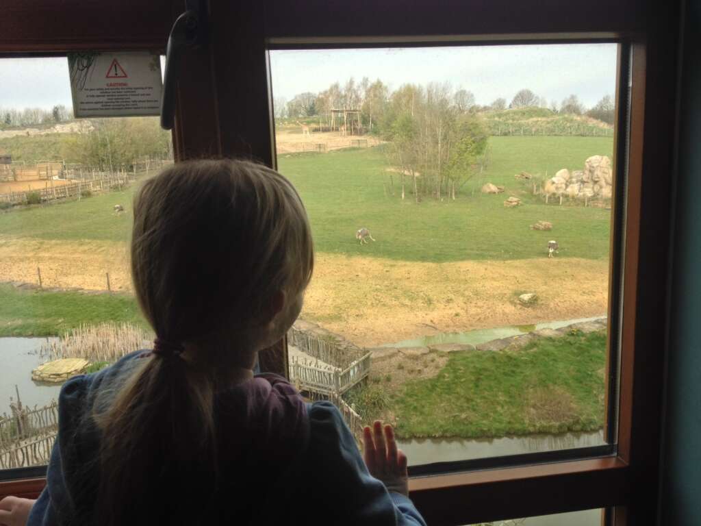 Hotels near Chessington